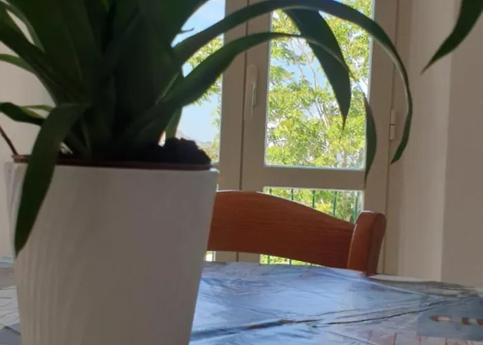 Casa Maddi Con Vista Mare Vicinissima Al Centro Isola D'elba 公寓 *